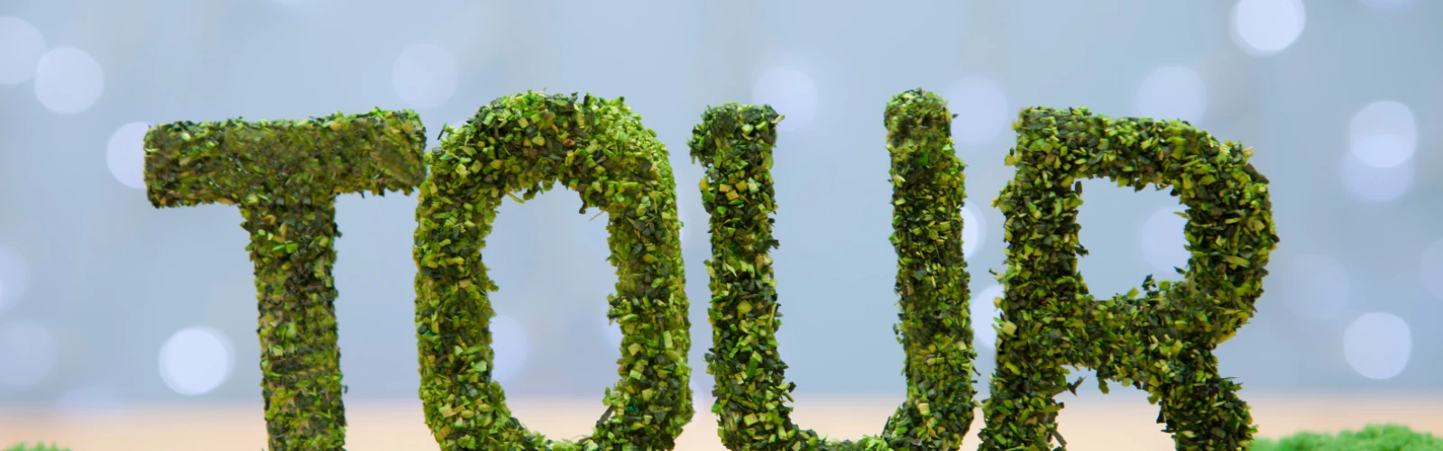 A Walking Tour of Sharq: From Markets to Modern Towers