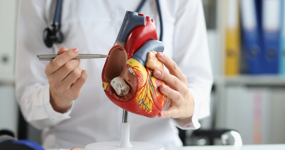 Healthcare Tourism in Kuwait: Spotlight on Amiri Hospital Area