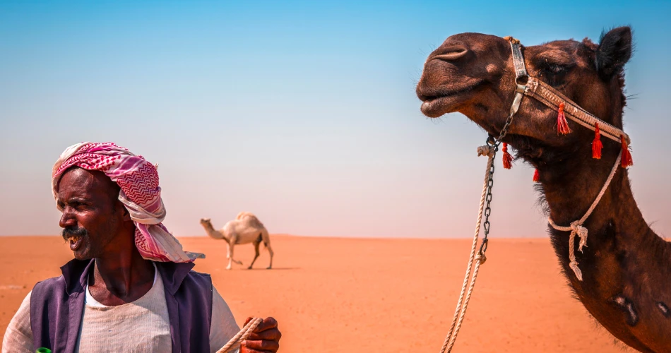 A Local’s Guide to Sharq: Shopping, Dining, and Culture