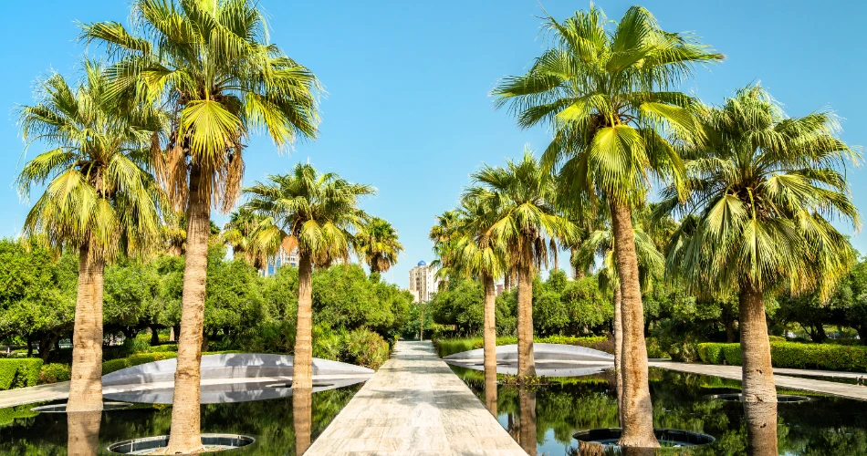 A Walking Tour of Sharq: From Markets to Modern Towers