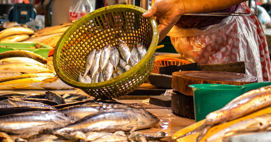 A Walking Tour of Sharq: From Markets to Modern Towers